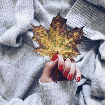 ayx在线登录入口手机app下载