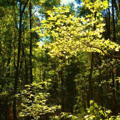 beat365手机版官方网站