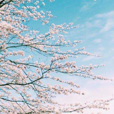 欧意交易平台下载