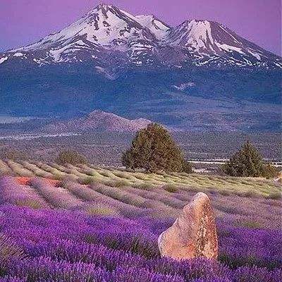 澳门新葡澳京app下载