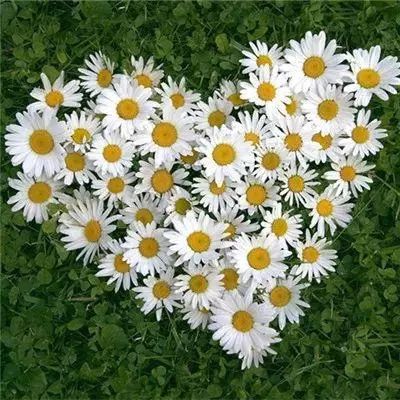 户员可以补办户口吗